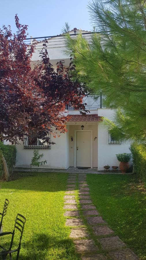 Villa Georgia Poseidi Каландра Екстер'єр фото